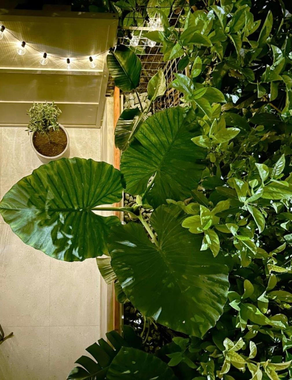 Athenian Coastal Urban Living Appartement Buitenkant foto